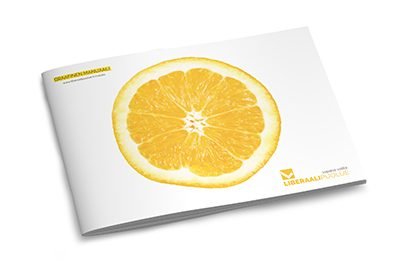 Liberaalipuoluee graafinen manuaali